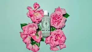 Online Santa Maria Novella Acqua di Rose