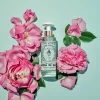 Store Santa Maria Novella Acqua Micellare Acqua di Rose