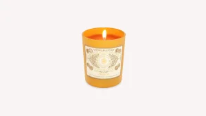 Shop Santa Maria Novella Candela Profumata Fresia