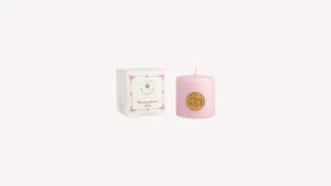 Best Santa Maria Novella Candela Profumata Rosa