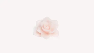 Clearance Santa Maria Novella Candela Rosa Profumata