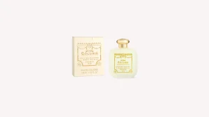 Clearance Santa Maria Novella Città di Kyoto