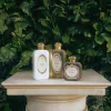 Cheap Santa Maria Novella Crema Fluida L'Iris
