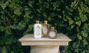Cheap Santa Maria Novella Crema Fluida L'Iris