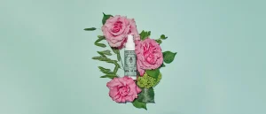 Hot Santa Maria Novella Crema Gel Acqua di Rose