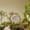 Best Santa Maria Novella Fresia