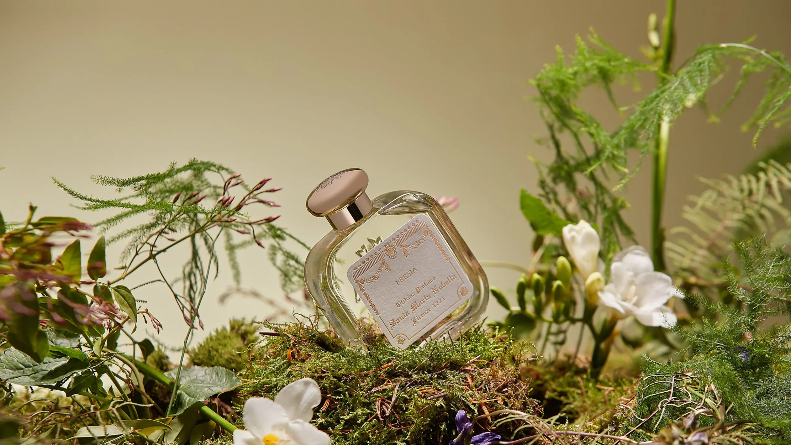 fresia_0.webp Best Santa Maria Novella Fresia