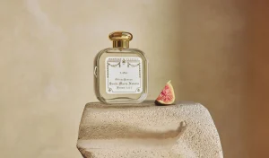 New Santa Maria Novella Lana