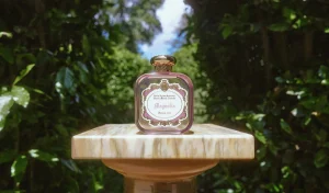 Store Santa Maria Novella Magnolia