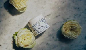 Discount Santa Maria Novella Maschera Idratante Idralia