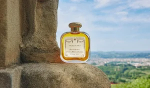 Store Santa Maria Novella Muschio Oro