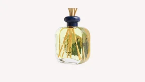 Hot Santa Maria Novella Profumo per Ambiente Europa