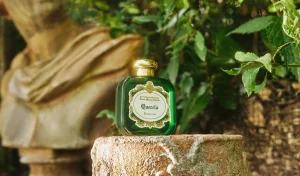 New Santa Maria Novella Quercia