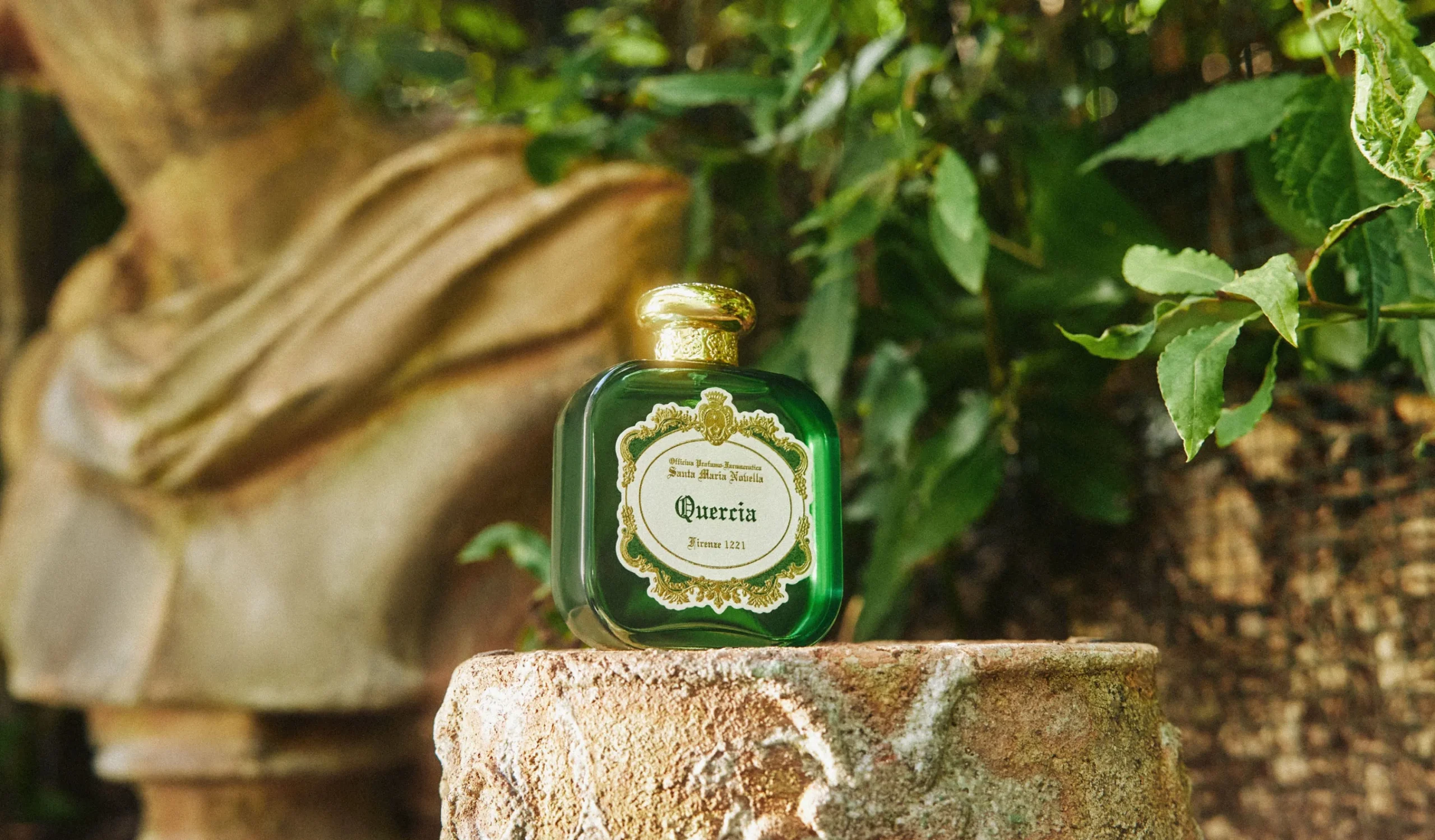 quercia_0.webp New Santa Maria Novella Quercia