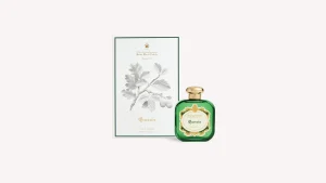 New Santa Maria Novella Quercia