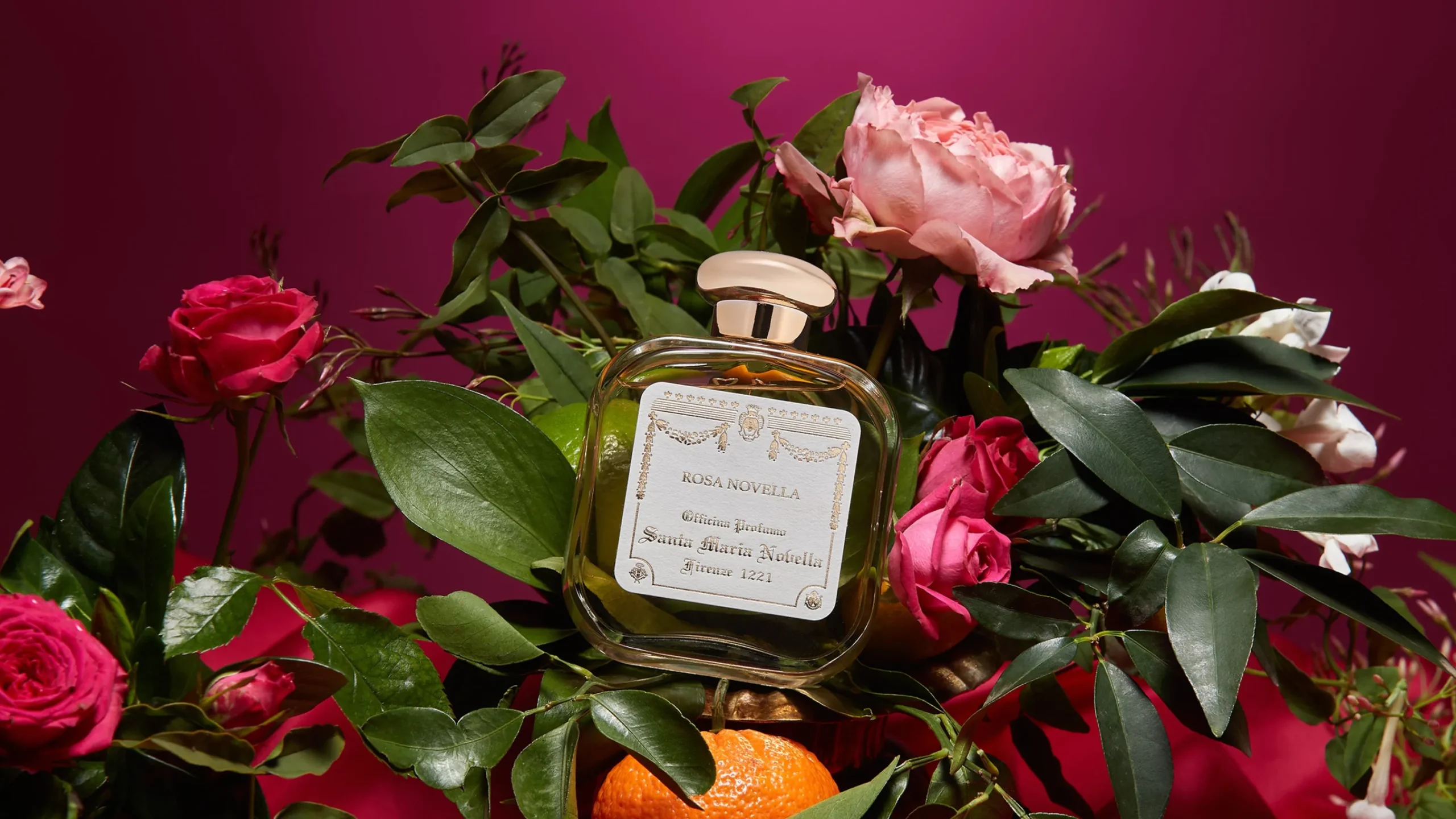 rosa_novella_0.webp Hot Santa Maria Novella Rosa Novella