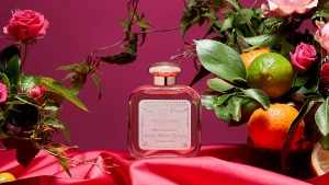 Hot Santa Maria Novella Rosa Novella